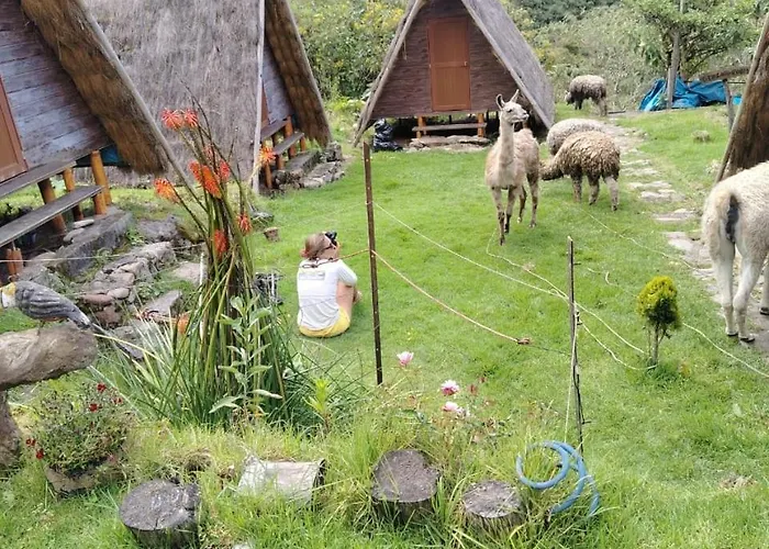 Llama Wasi Andean Cabins Chaullay Colcapampa