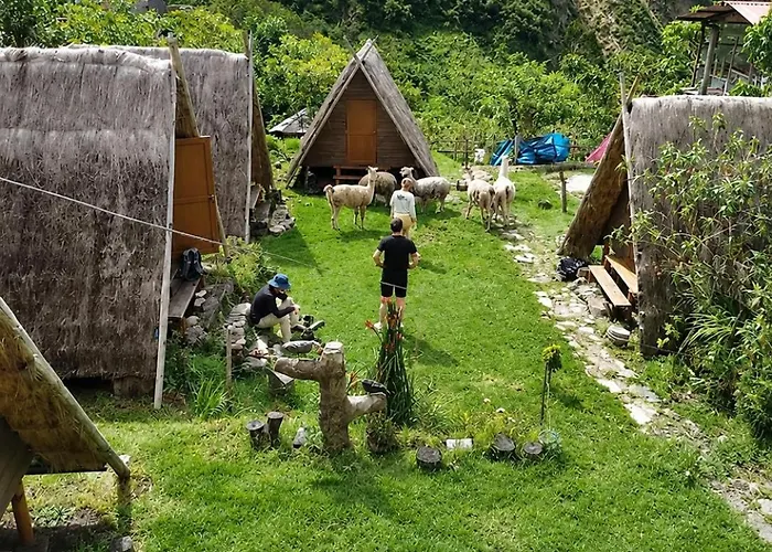 Llama Wasi Andean Chaullay Colpapampa
