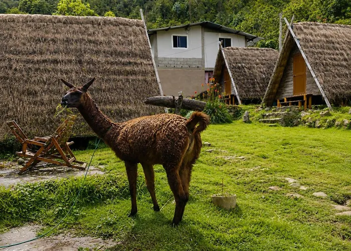 Hotel Llama Wasi Andean Chaullay Colpapampa